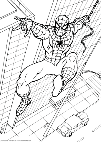 Spider Man Shoots With String Coloring Page